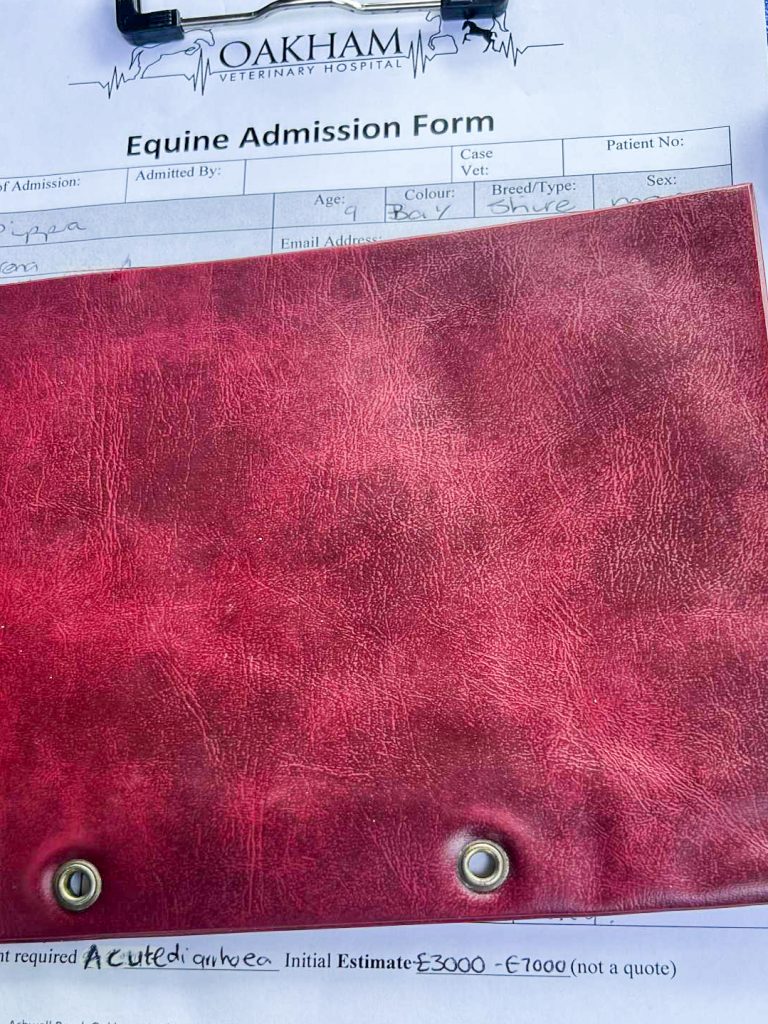 A red folder partially covers an Equine Admission Form from Oakham Veterinary Hospital. Visible text includes information on acute diarrhoea and an estimated cost of £3000–£7000.